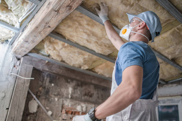 Best Cellulose Insulation in Lan, MI