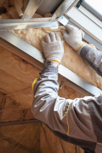 Best Geographic-Specific Insulation Services in Lan, MI