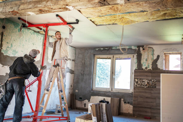 Best Specialized Insulation Services in Lan, MI